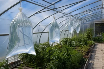 ChatGPT Image 2026 04 27 09 14 37