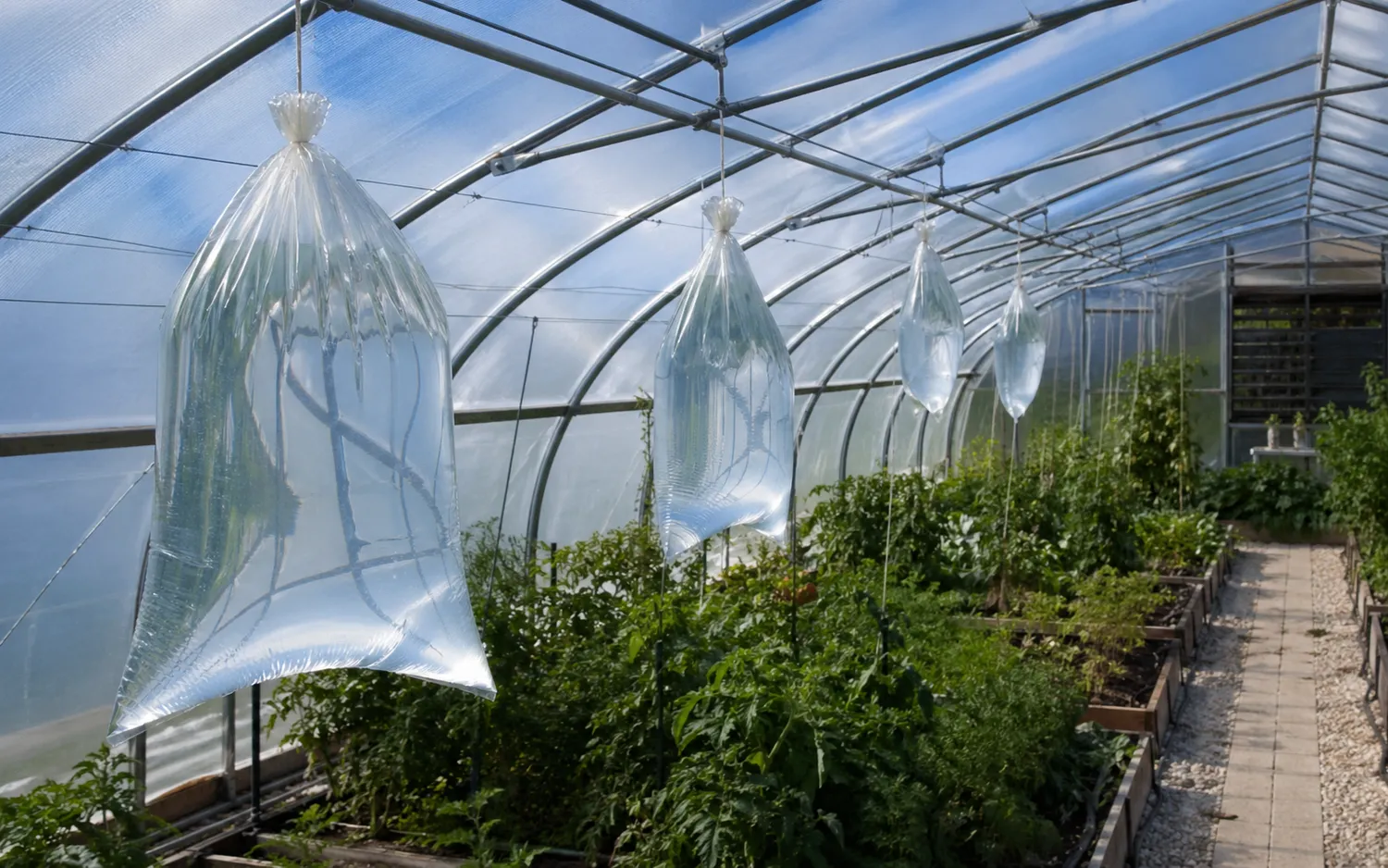 ChatGPT Image 2026 04 27 09 14 37