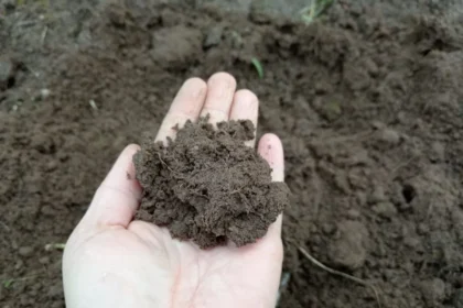 Kaip patikrinti ar žemė įšilusi