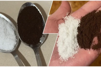 Kavos tirščių panaudojimas