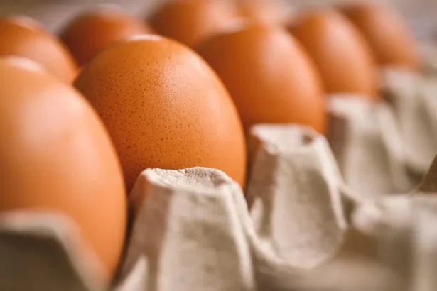 Kiaušiniai su įskilimais