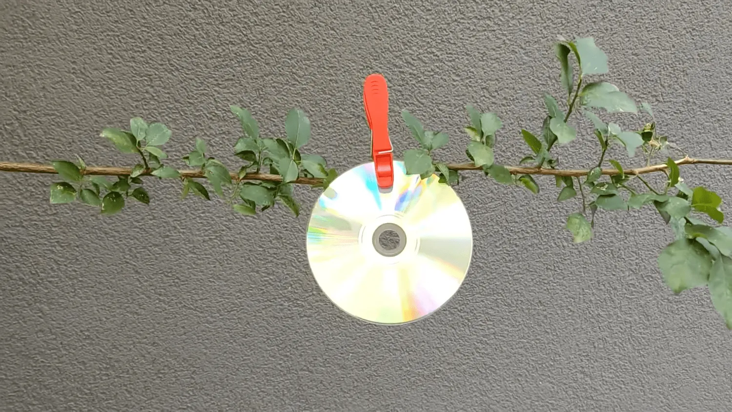 Kompaktiniai diskai sode