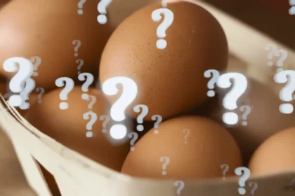 Naminių kiaušinių tikrinimas