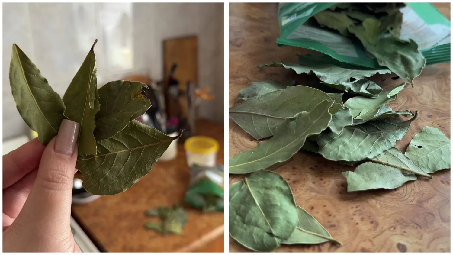 Paprastas lauro lapas