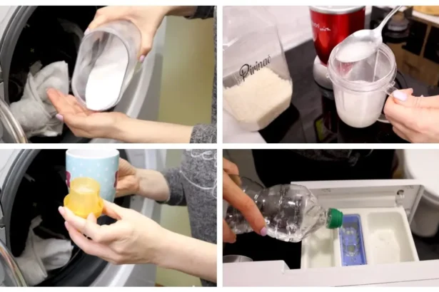 Penkių žvaigždučių viešbučių paslaptis