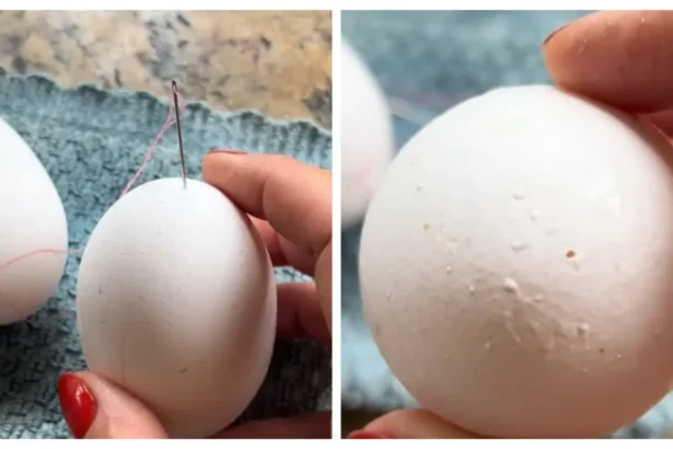 Prieš verdant kiaušinius vienoje vietoje praduriu smeigtuku