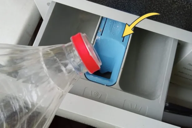 Rūbai dvokia pelėsiu