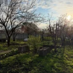 Sodo darbai balandį