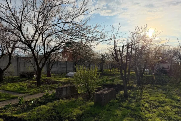 Sodo darbai balandį