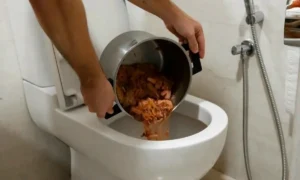 Sriubos pylimas į tualetą