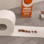 Uodai dings iš jūsų kiemo