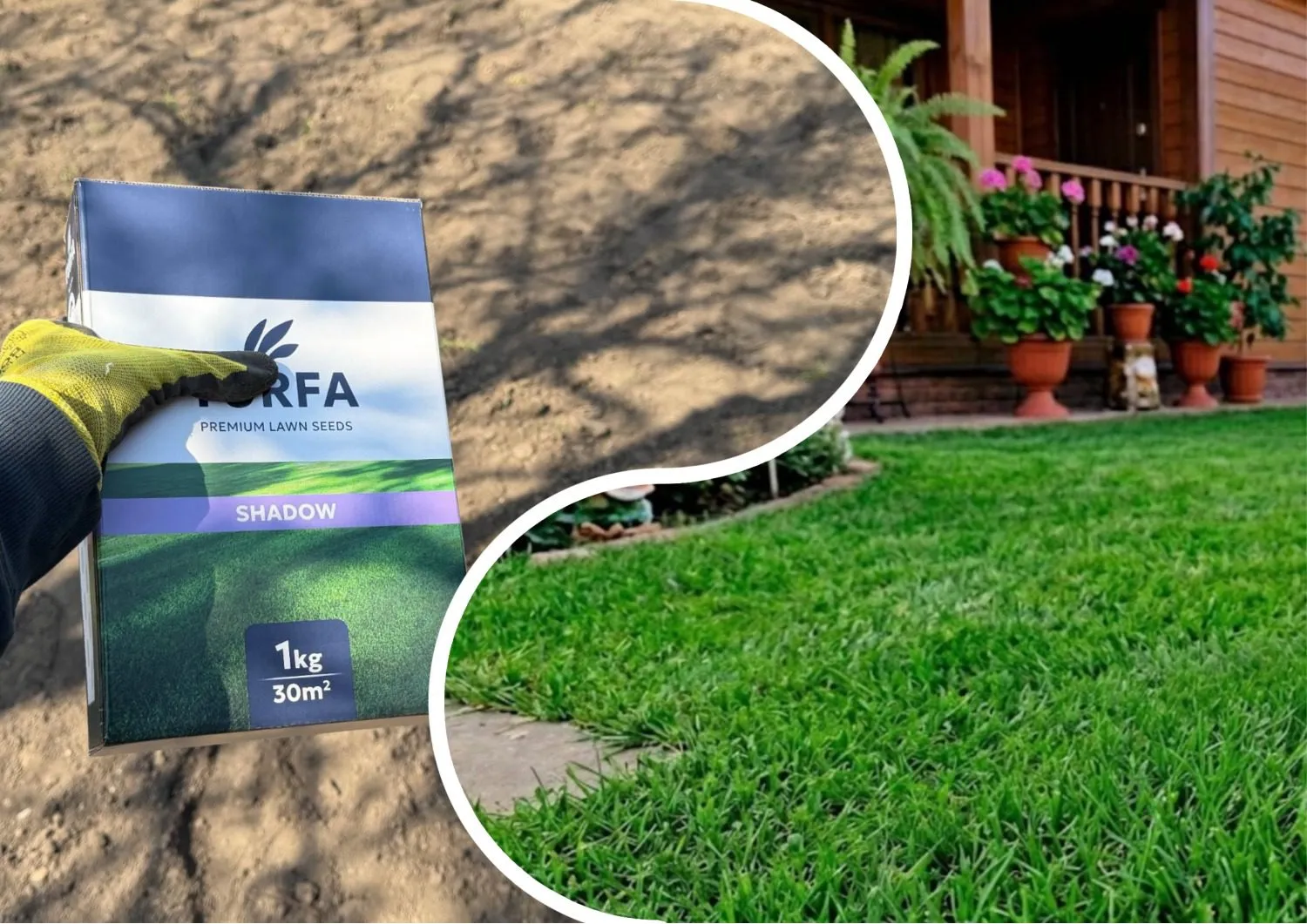 Vejos priežiūra balandį