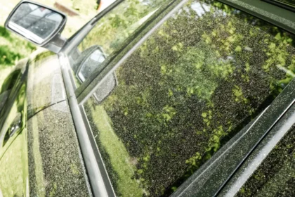 Žiedadulkių sluoksnis ant automobilio