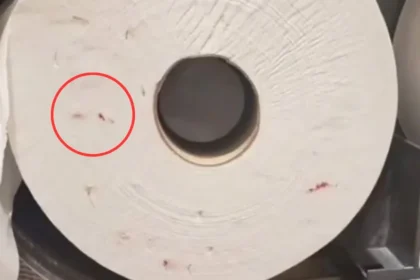 Jei ant popieriaus matote tai, geriau jo nelieskite