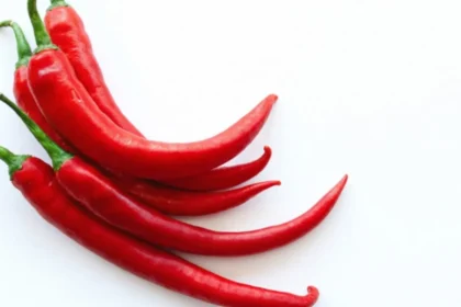 Ilgaamžiai Kasdien Renkasi Aitriąją / Nuotrauka: pogovorim.by