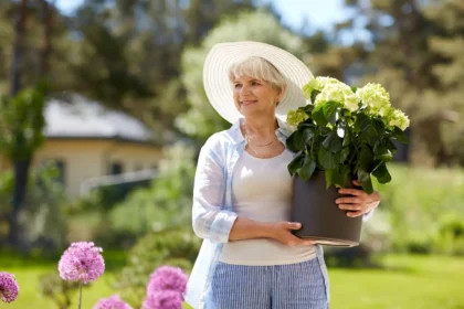 Net ir tamsesnėse vietose galima sukurti įspūdingą, vešlų ir gyvybingą sodą