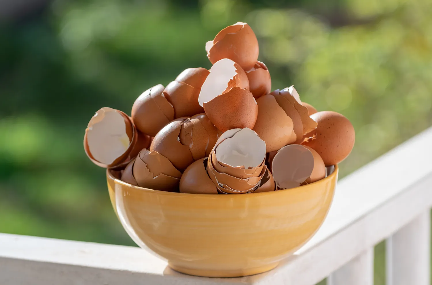 Kiaušinių lukštai aprūpina augalus kalciu, kuris būtinas sveikiems lapams ir stiebams