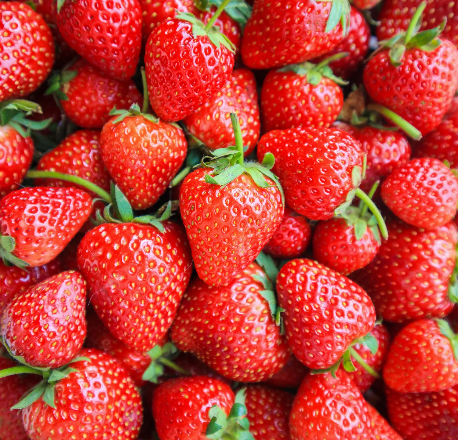 Pasirodo, kai kurie augalai ne tik „atimą“ iš braškių maistines medžiagas, bet ir neigiamai veikia jų skonį, augimą bei derlių