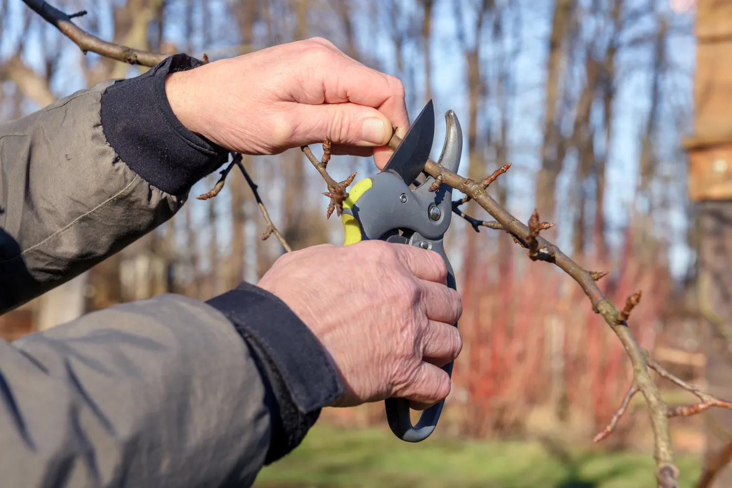 Shutterstock 1325676146