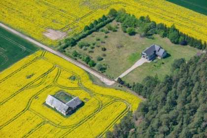 Shutterstock 1547376329