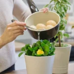 Shutterstock 1565981779