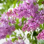 Shutterstock 189766553