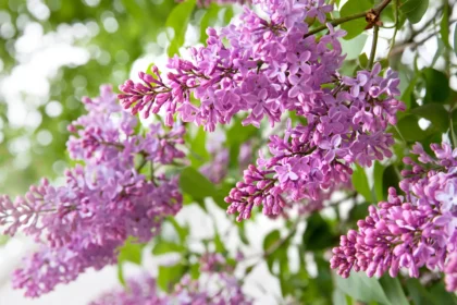 Shutterstock 189766553