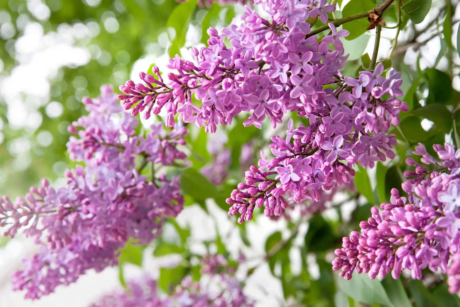 Shutterstock 189766553