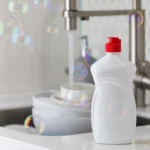 Indų ploviklis tualete