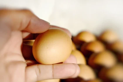 Natūralūs baltymai