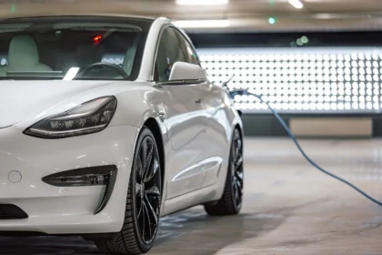 Shutterstock 2172933785