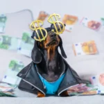Kada bankai žmogų laiko turtingą?