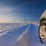 Norvegai išvarė elektromobilius į stingdantį šaltį