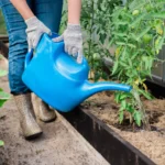 Shutterstock 2261539205