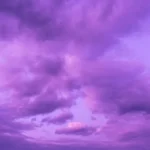 Shutterstock 2301449527