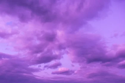 Shutterstock 2301449527