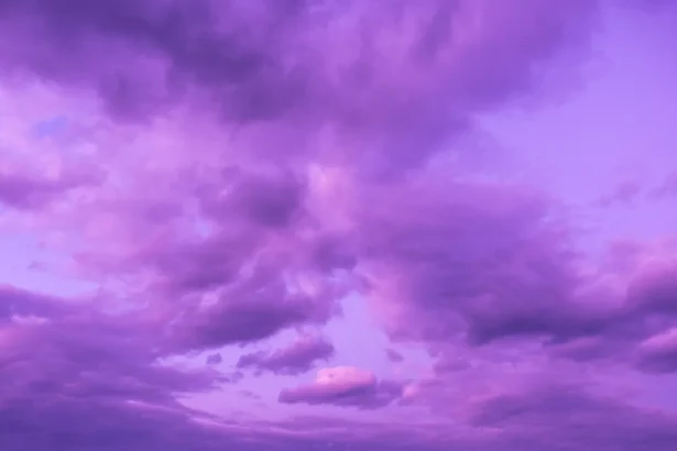 Shutterstock 2301449527