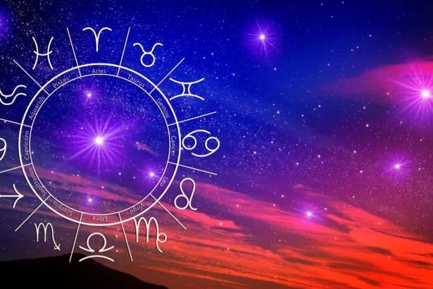 Shutterstock 2313057581