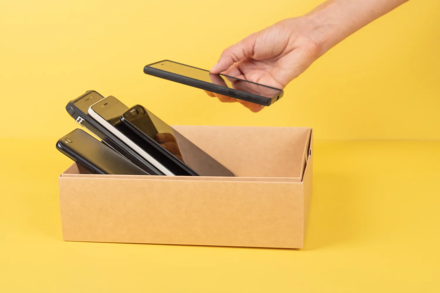 Shutterstock 2349998939