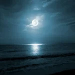 Shutterstock 2413896143