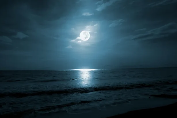 Shutterstock 2413896143