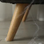 Vorai namuose vengia trijų kvapų