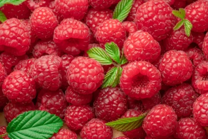 Shutterstock 2436215653
