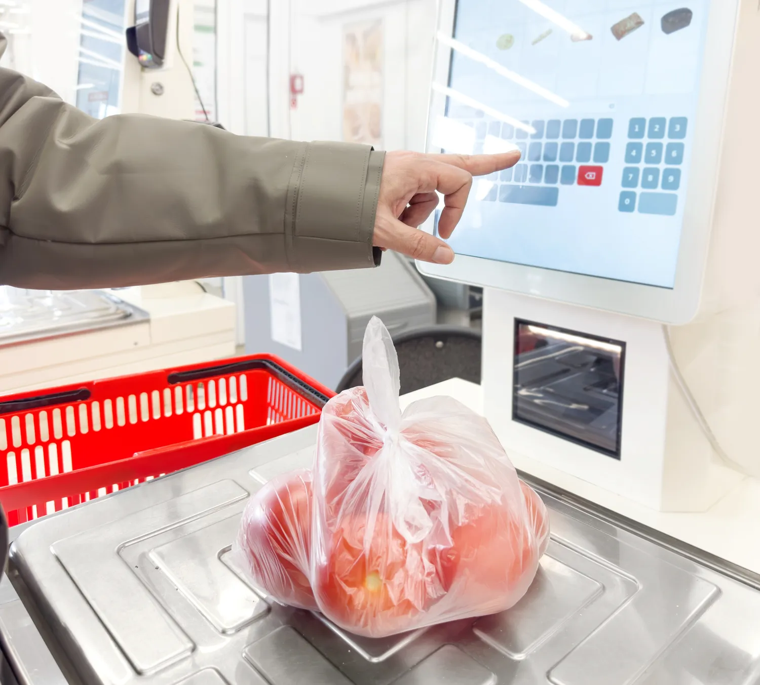 Shutterstock 2454033763