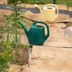 Shutterstock 2480418305