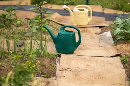 Shutterstock 2480418305