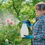 Shutterstock 2483603961