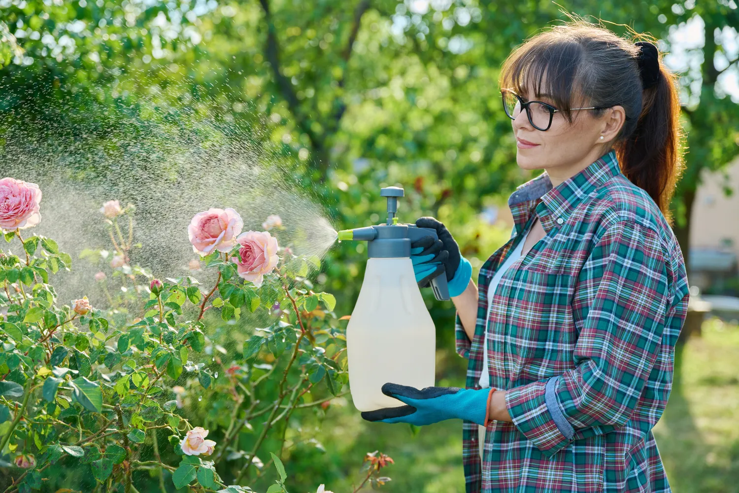 Shutterstock 2483603961