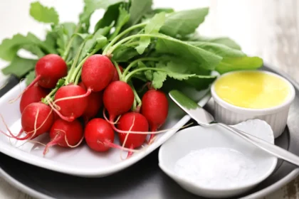 Shutterstock 2558559149