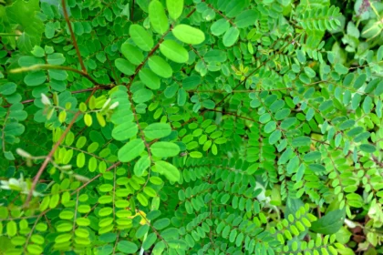 Shutterstock 2579249413